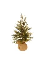  Medium Tree In Bag