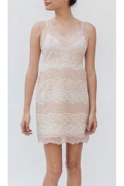  Aphrodite Lace Bodycon