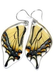  Eastern Swallowtail Earrings