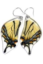  Eastern Swallowtail Earrings