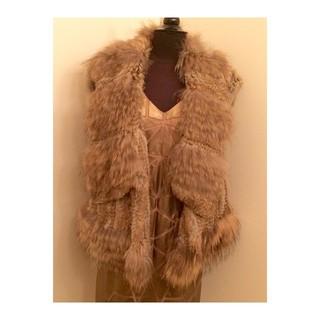 Rabbit Raccoon Vest