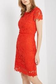  Poppy Lace Dress