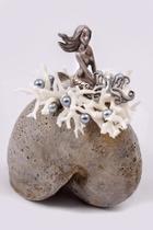  Nautilus Shell Mermaid