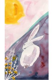  Rabbit Scarf