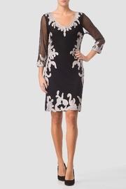  Mesh Gipour Dress