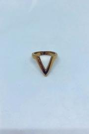  The Adami Ring