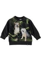  Laughing Animals Sweater