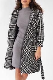  Carmen Sandiego Coat