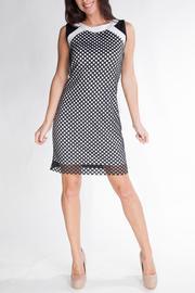  Mesh Shift Dress