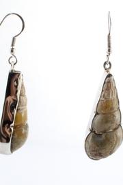  Fossil Shell Earrings