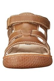  Sailor Shoe Brown