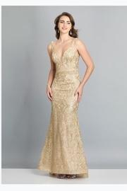  Gold Embroidered Gown