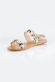  Clio Splash Sandals