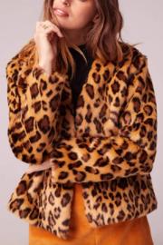  Walk On The Wild Side Jacket