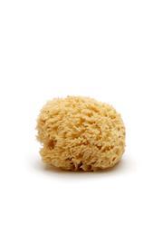  Gulf Bathing Sponge