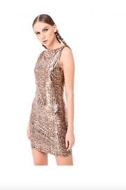  Snake Primnt Bodycon