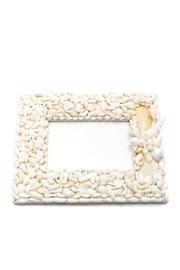  Shell Frame
