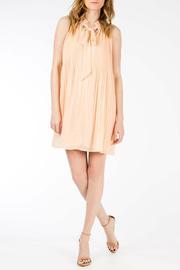  Pink Pleated Dress