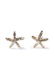  Small Starfish Earrings