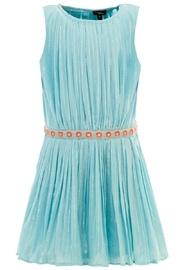 Velveteen Anila Dress