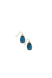  Blue Tortoise Earrings