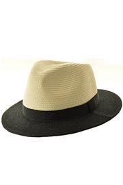  Bicolor Raffia Hat