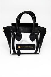  Mini Celine Bag