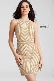 Sparkly Cocktail Dress