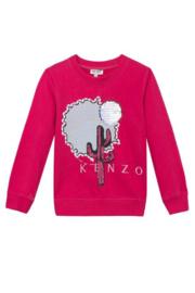  8-12y Cactus Sweatshirt