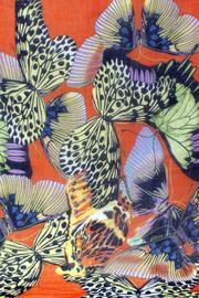  Butterfly Orange Scarf