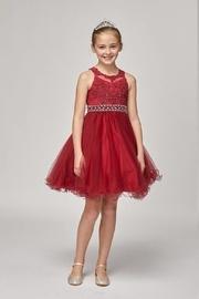  Rhinestone Beaded Dress