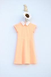  Beaded Collar Dress