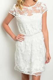  Floral Applique Dress
