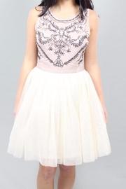  Tulle Me Dress