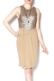  Festive Sequin Dress