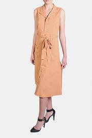  Vintage Camel Dress