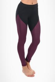  Crystalline Legging
