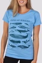  Whale Types Tee