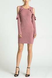  The Ruffle Dress