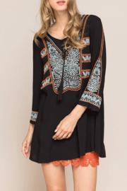  Bold Embroidered Dress