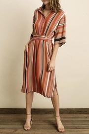  Terri Shirt Dress