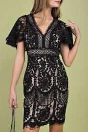  Open-back Lace Mini-dress