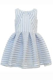  Scuba Eyelet Dress
