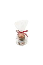  Holiday Gift Bag Peppermint