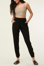  Fern Jogger
