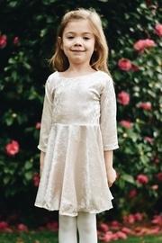  Velour Skater Dress