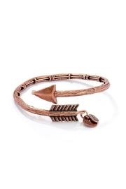  Alex-and-ani Lovestruck Bracelet