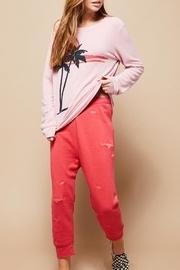  Shark Tank Sweats
