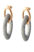  Sparkling Earring