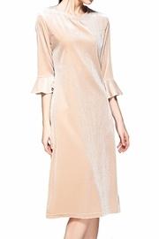  Modest Velvet Dress
